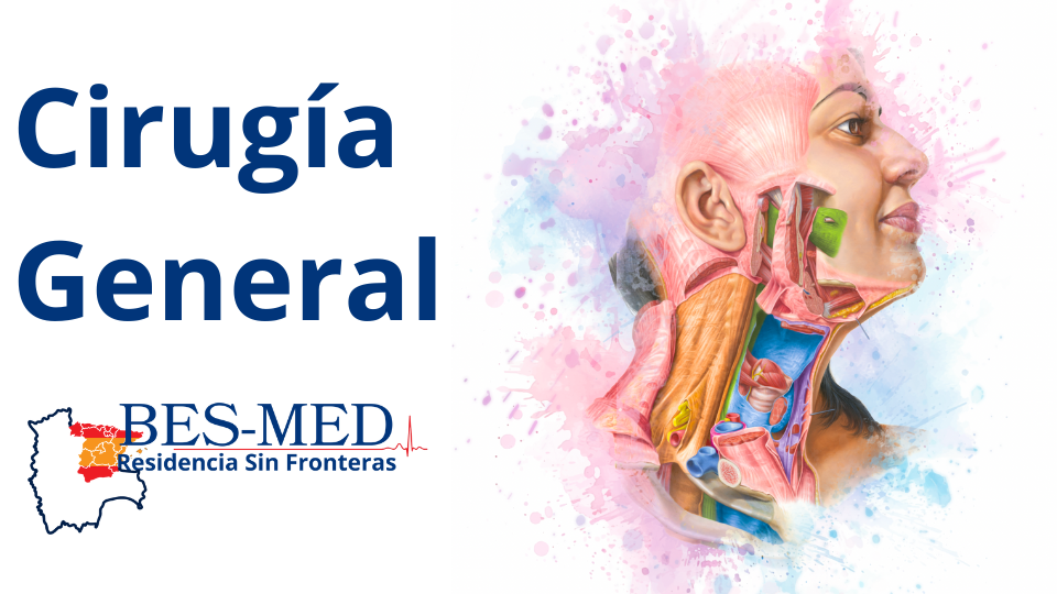 Curso Regular – Especialidad